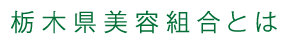 栃木県美容組合とは